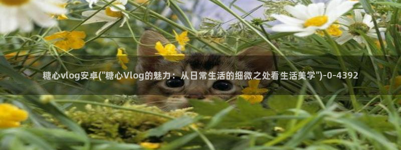 糖心vlog兑换码免费