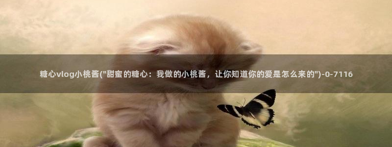 糖心视频vlog破解版下载