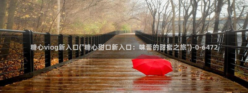 糖心vlog?