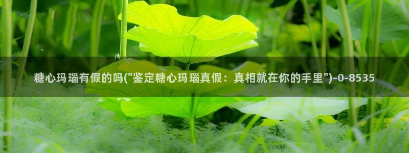 糖心vlog中国