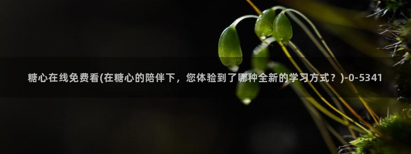 糖心vlog在线观看入口