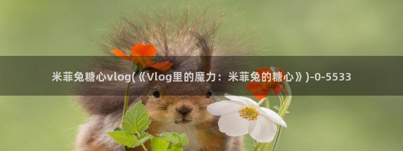 糖心vlog原创