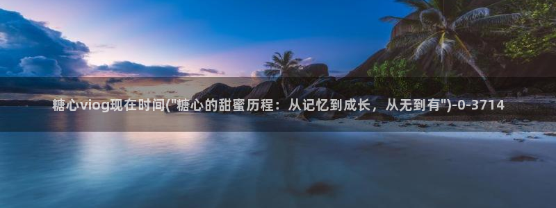 糖心vlog玩偶