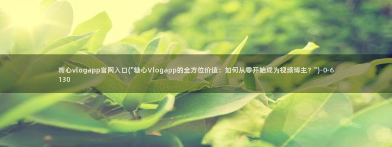 糖心vlog网站入口