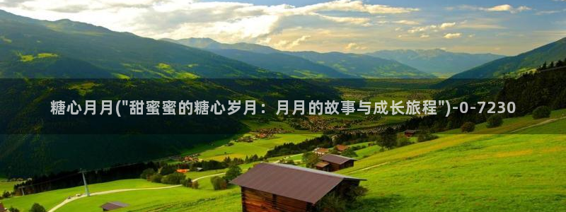 心糖vlog日常