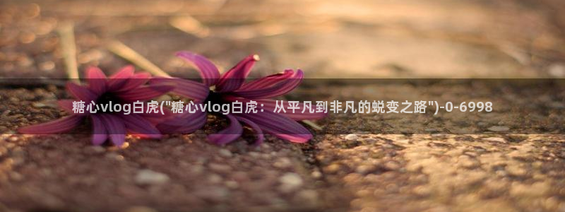 糖心vlog樱桃