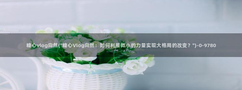 糖心vlog是干什么的