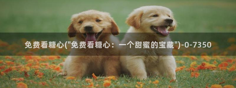 糖心vlog在线观看_糖心vlog