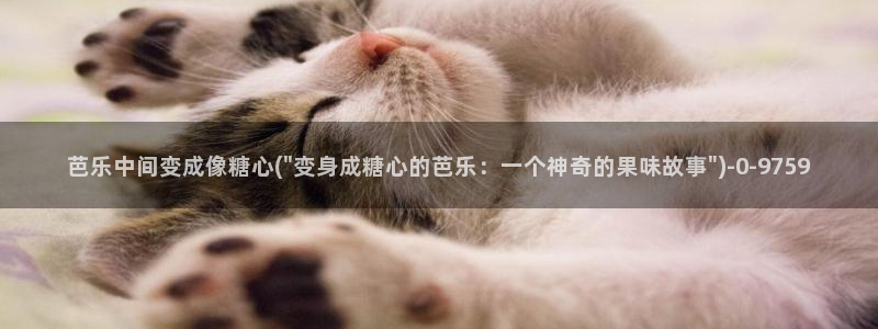 糖心vlog破解视频
