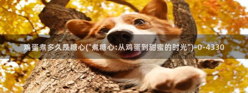 糖心vlog在线观看国产h